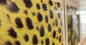 Texture_3D_02