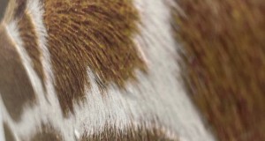 Texture_3D_05