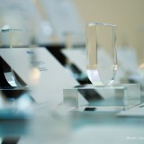 SSF26-0311_IMDAward2026_04